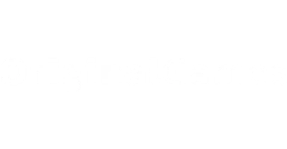 partners who work with acjili